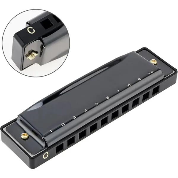 Blues Harmonica 10 Hole 20 Tune Music Gift