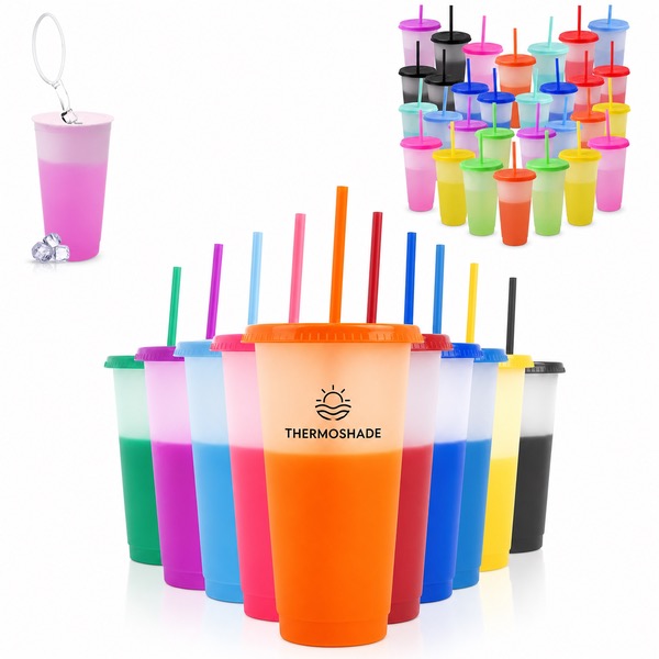 Reusable 24oz Tumbler with Lid and Straw
